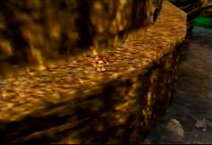 Here's the dude's house