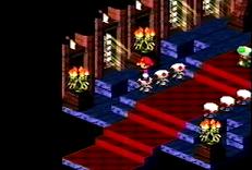 Jump on the toads' heads