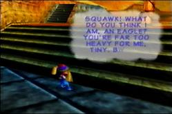 Who's Squawk talking to?