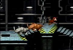 Two Rambis and a floating Diddy