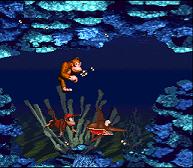 Looks like Enguarde is a little envious of somebody's style...