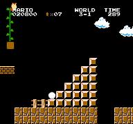 See - he's climbing above the vine - wacky!