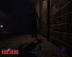 Standing on a bug... la dee da