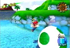 A turtle in the water