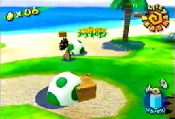 A turtle in the basket