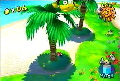 A turtle in the tree