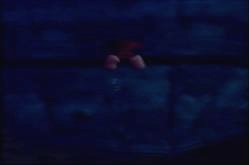 DK's going through the island...