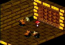 Three chows and a Yoshi Cookie