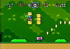 The block is messing up Luigi's face