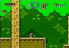 Mario got hurt... now he's tiny