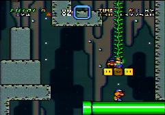 Throwing it up the vine