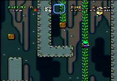 Climbing up the vine with the object... though you can't see it