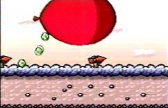 Hmm... you can see his eggs...